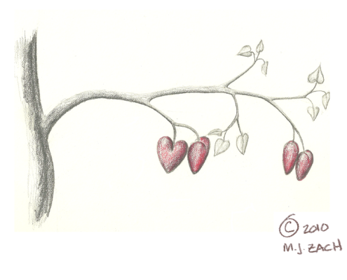 Mark Zach illustration of bleeding heart plant