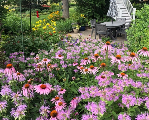 Connie Alber's garden