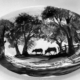 Glynnis Lessing dish