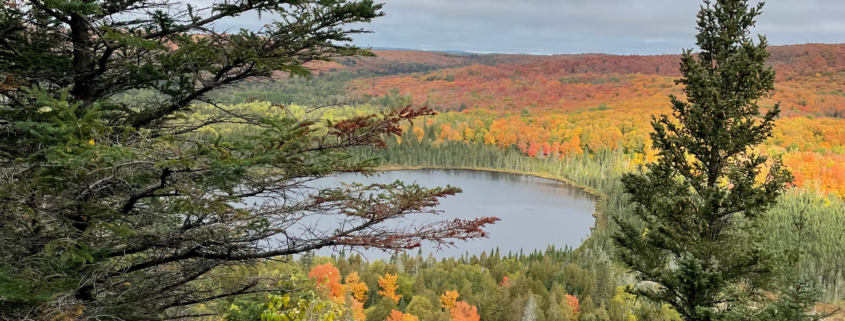 North Shore Oberg, autumn