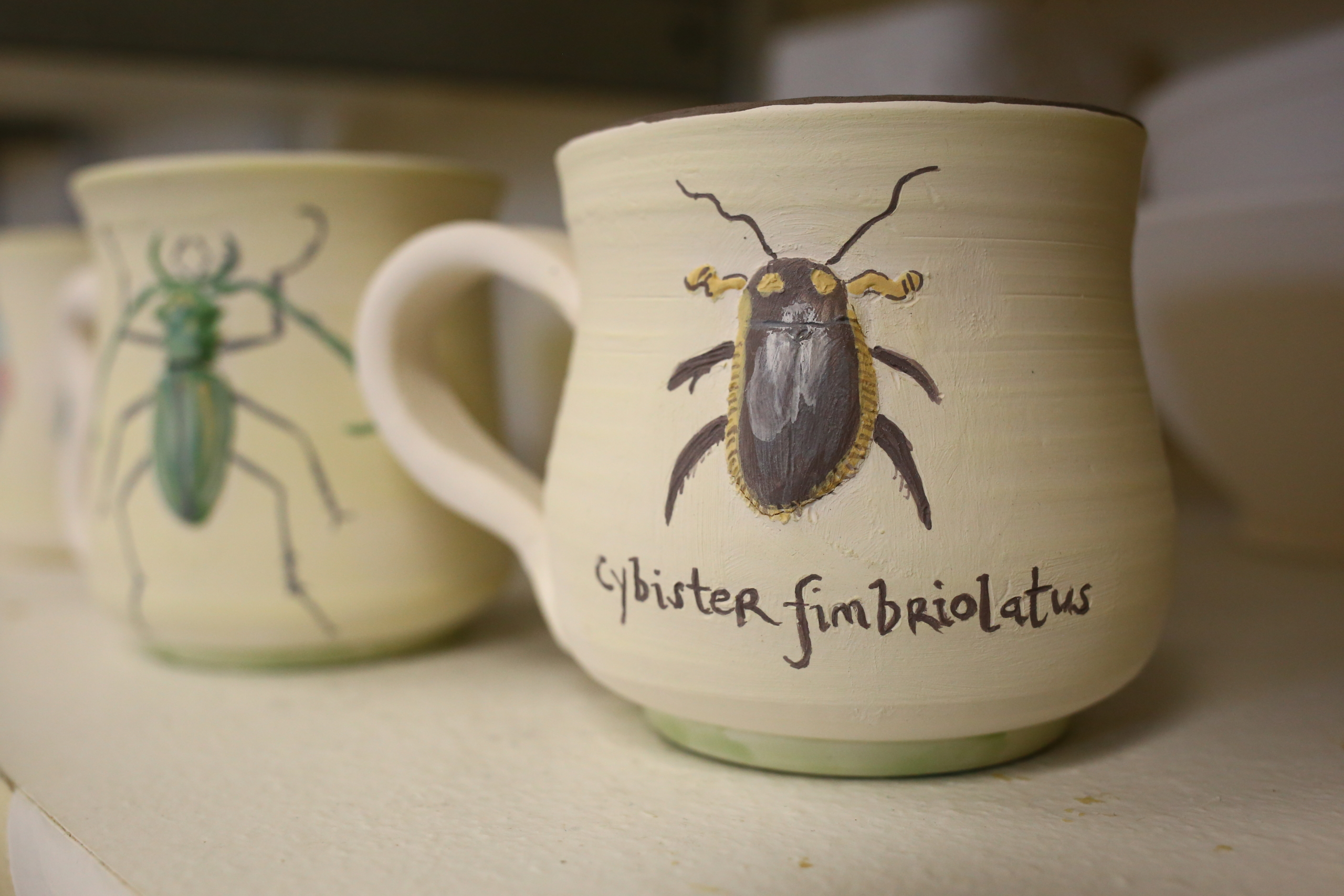 Clay for High School